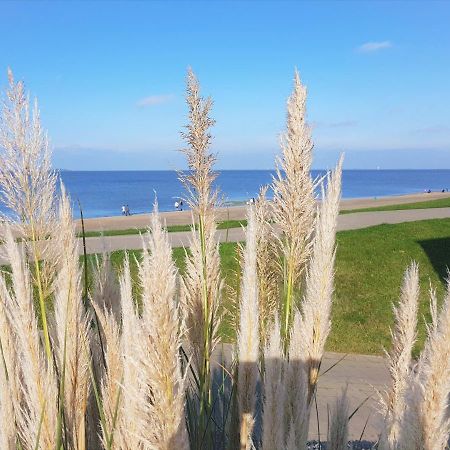 Apartment Jadestrand, Am Alten Deich 4-6, Whg 1 20 丹加斯特 外观 照片